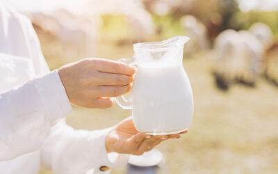 舌尖上的三重守护|欧洲乳制品行业为何领跑全球