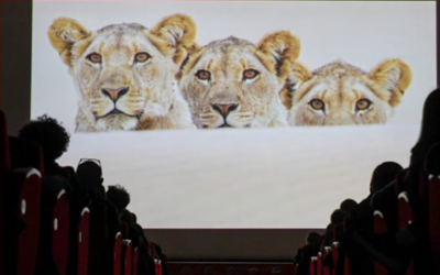 Gran Paradiso Film Festival 2026: raccontare il dialogo tra cinema, natura e territorio attraverso le media relations